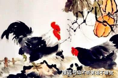 一道旭光分两地鸡啼鼠走四十六是什么生肖的全面释义、解释与落实、统计解答解释落实