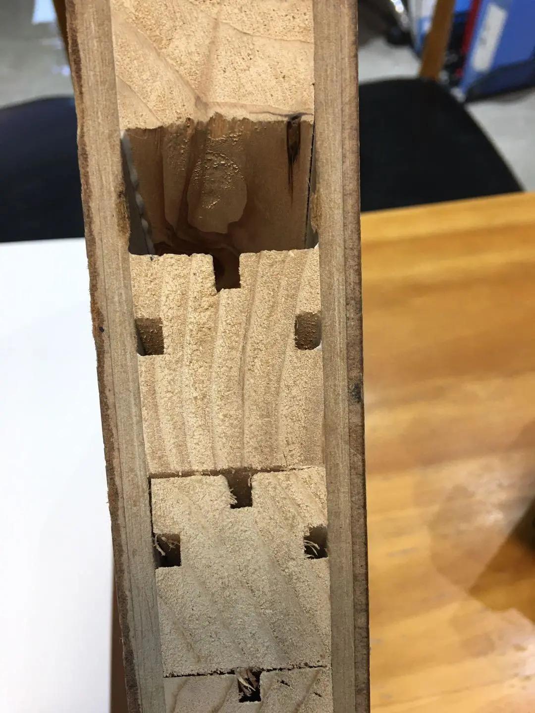 青山绿水好风光,有情之人不孤单猜一生肖,警惕虚假宣传落实,科学解答解释落实